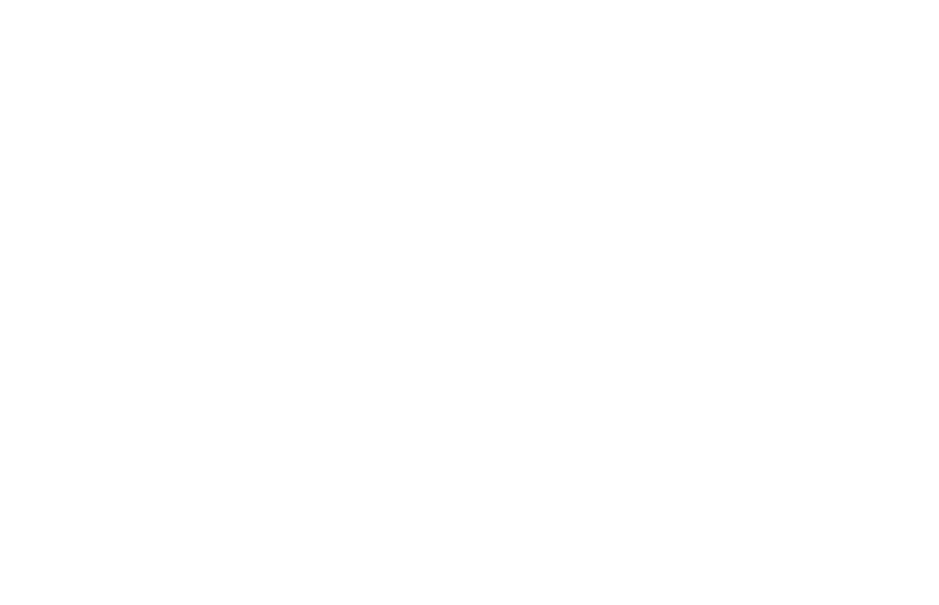Weridelocal