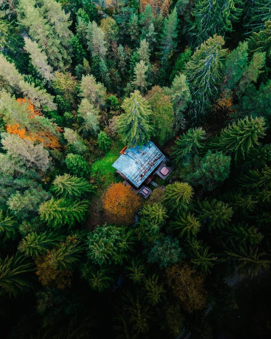 Cabin in the forest from above
